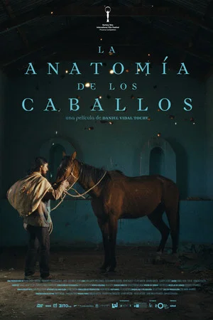 Постер: The Anatomy of the Horses