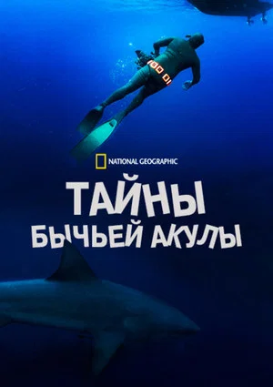Постер: Тайны бычьей акулы