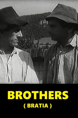 Постер: Brothers