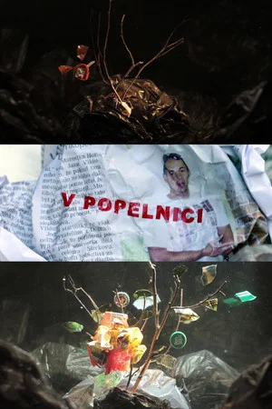 Постер: In a Dumpster