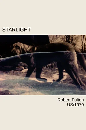Постер: Starlight