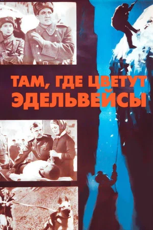 Постер: Там, где цветут эдельвейсы
