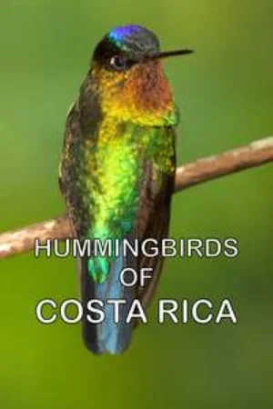 Постер: Hummingbirds of Costa Rica