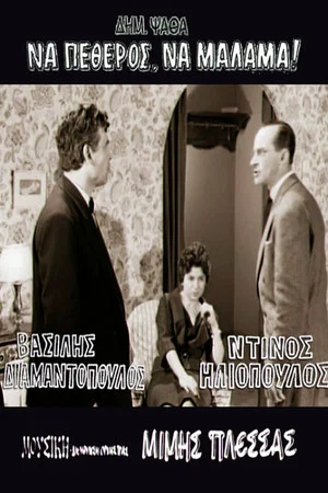 Постер: Father-in-Law With a Heart of Gold