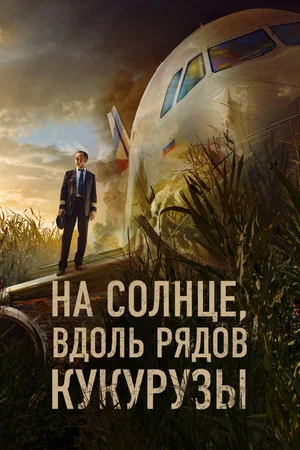 Постер: На солнце, вдоль рядов кукурузы