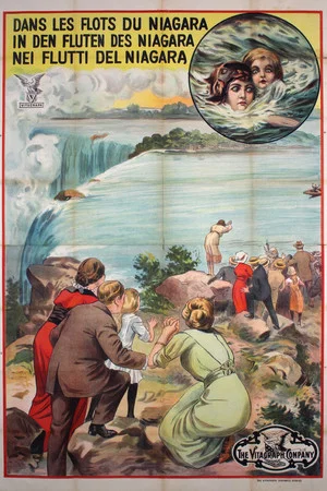 Постер: The Diver