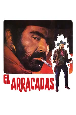 Постер: El Arracadas