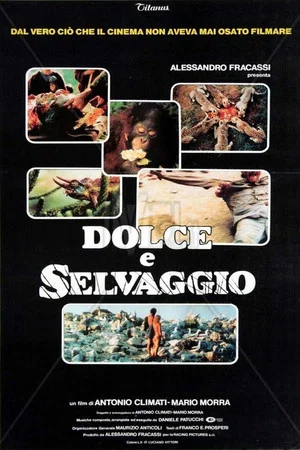Постер: Sweet and Savage