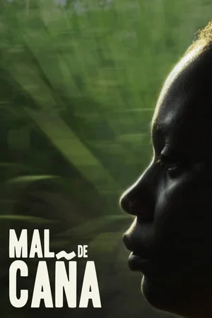 Постер: Sugar Cane Malice