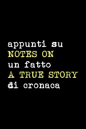 Постер: Notes on a True Story