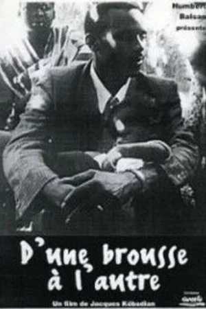 Постер: D'une brousse à l'autre