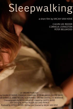 Постер: Sleepwalking