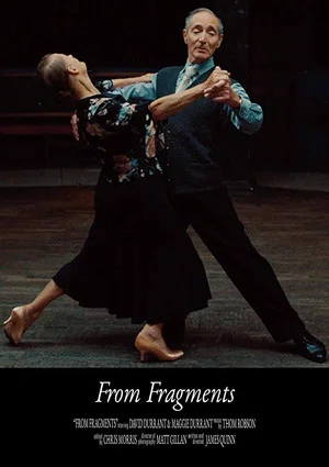 Постер: From Fragments