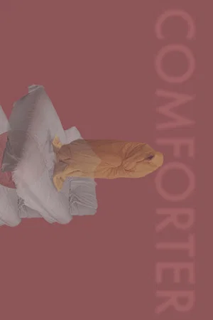 Постер: Comforter