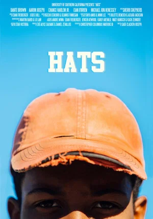 Постер: Hats