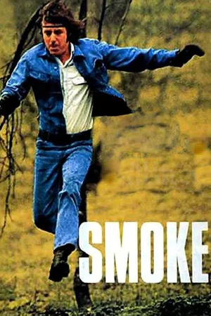 Постер: Smoke