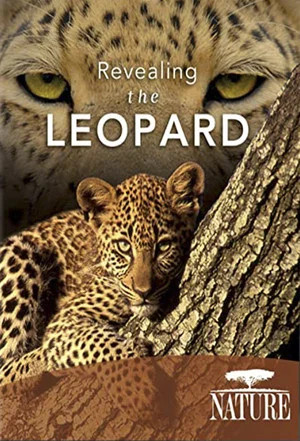 Постер: Revealing the Leopard