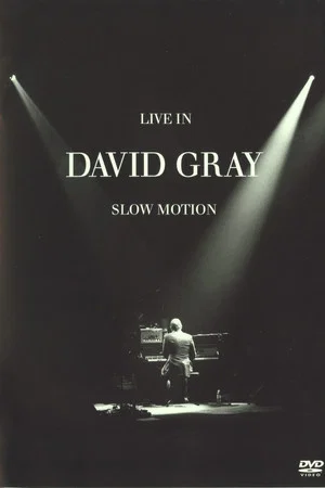 Постер: David Gray: LIVE in Slow Motion