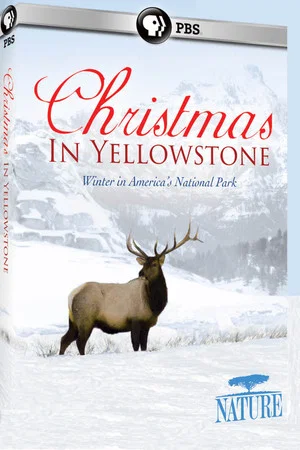 Постер: Christmas in Yellowstone