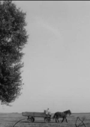 Постер: Summer Movie