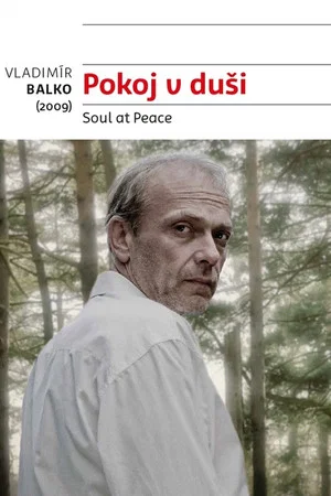 Постер: Soul at Peace
