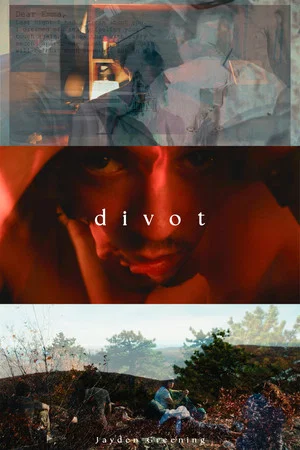 Постер: Divot
