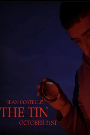 Постер: The Tin