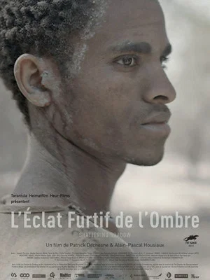 Постер: L'éclat furtif de l'ombre