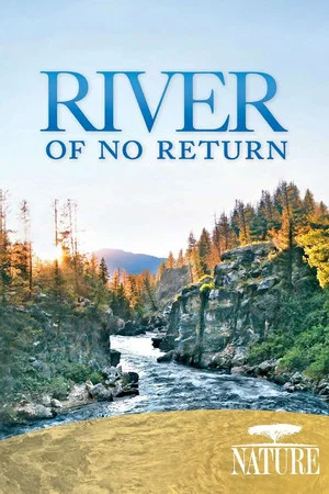 Постер: River of No Return
