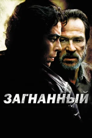 Постер: Загнанный