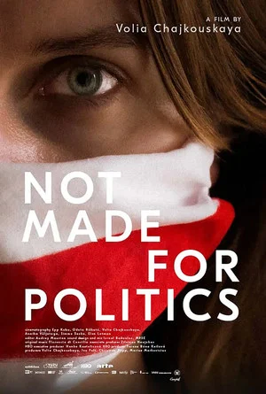 Постер: Not Made for Politics