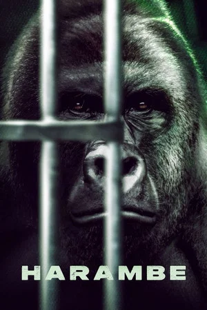 Постер: Harambe