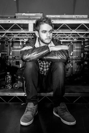 Постер: Zedd: Moment of Clarity
