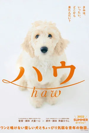 Постер: Haw