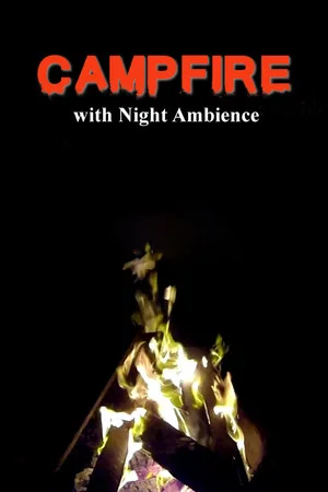 Постер: Campfire with Night Ambience