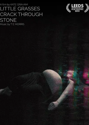 Постер: Little Grasses Crack Through Stone
