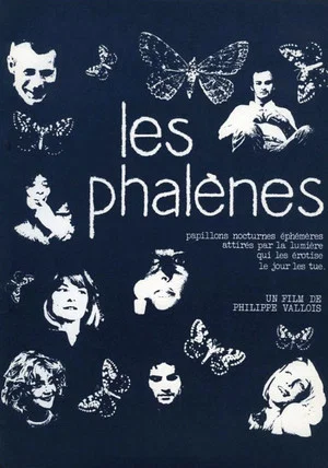 Постер: Les phalènes