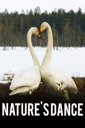 Постер: Nature's Dance
