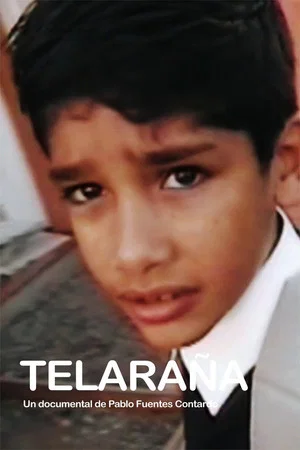 Постер: Telaraña