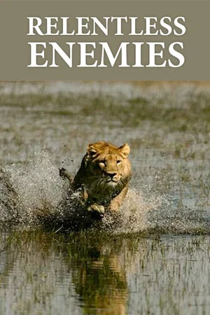 Постер: Relentless Enemies: Revealed
