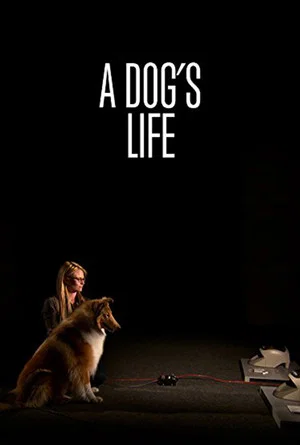 Постер: A Dog's Life