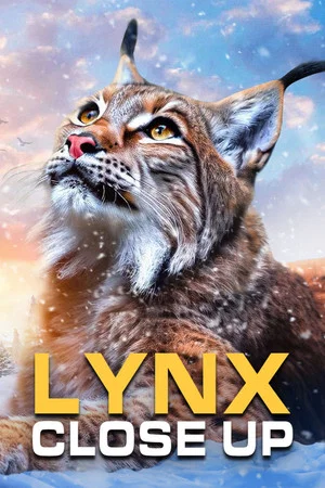 Постер: Lynx - Close Up