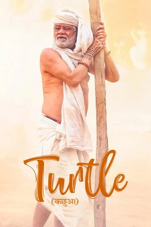 Постер: Turtle