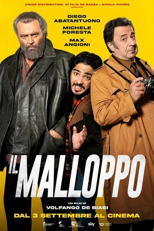 Постер: Il malloppo
