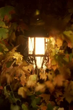 Постер: Summer Light
