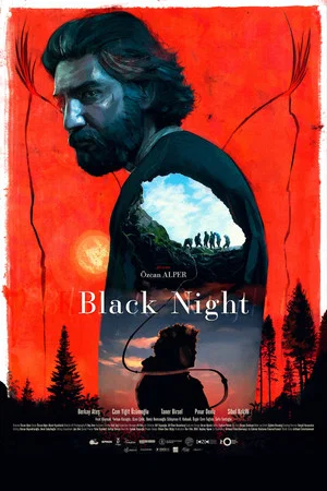 Постер: Black Night