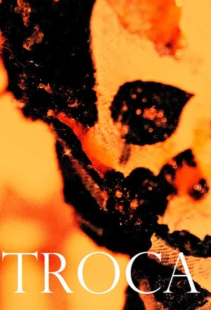 Постер: Troca