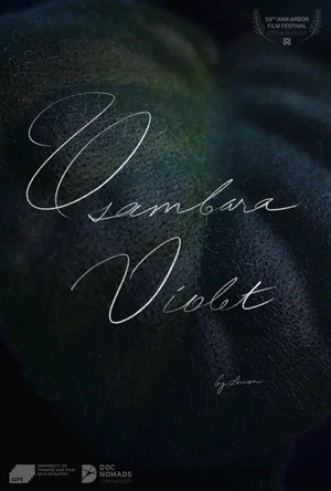 Постер: Usambara Violet