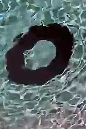 Постер: Donut
