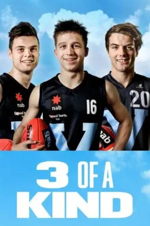 Постер: 3 of a Kind
